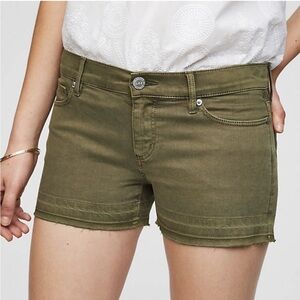 Loft Olive Green Women's Shorts
